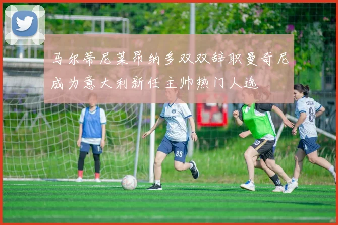 马尔蒂尼莱昂纳多双双辞职曼奇尼成为意大利新任主帅热门人选